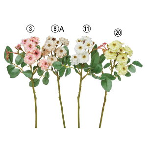 yP10{ 12/31܂ŁIz  Ƃ悹i ||[Y×8 o KN 炫  sN x[W F CG[   CeA CeAt[ VNt[ AXJ ASCA AXJ