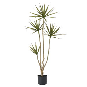 tFCNO[ ϗtA y[J[iz hZi(|bgt) 145cmsρEiƓst hSc[ K̖ 1.4m 140cm ^ AXJ ASCA AXJ