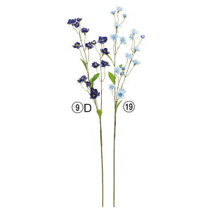 yP10{ 12/31܂ŁIz  Ƃ悹i NXp[×18 [NXp[ 璹 u[  F CeA CeAt[ tFCNt[ VNt[ ԍ Ԏ AXJ ASCA AXJ