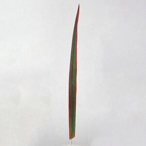 yP10{ z O[   Ƃ悹i j[TC   ԍՒd    At[ }I tH~E V ԍ AXJ ASCA AXJ