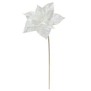 yP10{ 12/31܂ŁIz NX}X  Ƃ悹i CfBZg|CZ`A VEWE{N ́X NX}Xt[ m[`FEuGi I[ LL Ό  AXJ ASCA AXJ