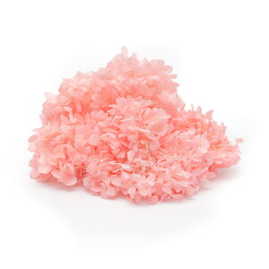 yP10{ z vU[uht[ ԍ o \tgs~bh xr[sN ԍ f ޗ p[c hCt[ AWTC  z sN Ԃт XbO 