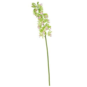セロリ 花 造花 アーティフィシャルフラワーの人気商品 通販 価格比較 価格 Com