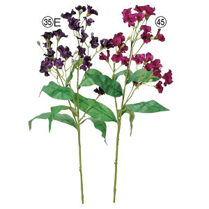 yP10{ 12/31܂ŁIz  Ƃ悹i ubTXv[×25 ڂ×7 CeA CeAt[ tFCNt[ VNt[ CeAO[ ԍ f AXJ ASCA AXJ