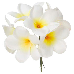  Ƃ悹i vAsbN (16{) C nC 썑 gsJ CeA CeAt[ tFCNt[ VNt[ ԍ AXJ ASCA AXJ