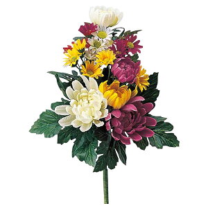   Ƃ悹i (S) ~j  RpNg ԕ    ~ ~ ފ  ݉  t[l ԍ AXJ ASCA AXJ