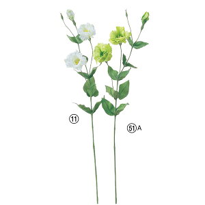 yP10{ 12/31܂ŁIz  Ƃ悹i gRMLE×2 ڂ×1 CeA CeAt[ tFCNt[ VNt[ CeAO[ A[gt[ AXJ ASCA AXJ