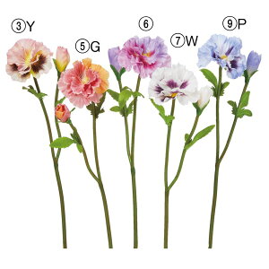 yP10{ 12/31܂ŁIz  Ƃ悹i pW[×1 ڂ×1 sN  u[  p[v  F  TVLX~ V CeA CeAt[ ԍ t AXJ ASCA AXJ