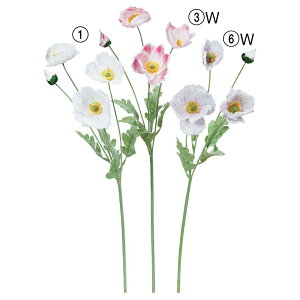 yP10{ 12/31܂ŁIz  Ƃ悹i |s[×3 ڂ×1 qiQV OrW\E l sN  p[v  zCg F CeA CeAt[ ԍ AXJ ASCA AXJ