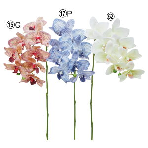 yP10{ 12/31܂ŁIz  Ƃ悹i R`E×8 ڂ×2 t@mvVX Ӓ  zCg u[  bh  F CeA CeAt[ ԍ DIY AXJ ASCA AXJ