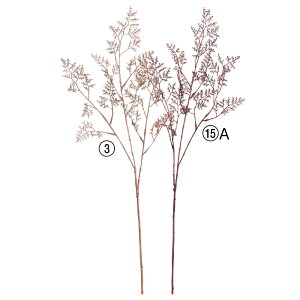 yP10{ 12/31܂ŁIz   Ƃ悹i Ob^[jE nin}TW ԕl LL   VNt[ C~e[V A[eBtBVt[ AXJ ASCA AXJ