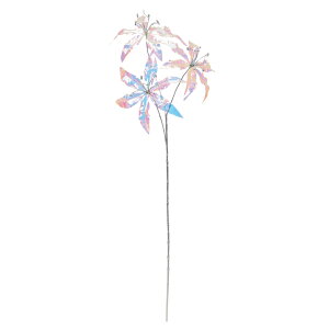 yP10{ z  Ƃ悹i CfBZgB×3  S [ I[ LL Ό ʒF F NX}X NX}XAW NX}Xc[ AXJ ASCA AXJ