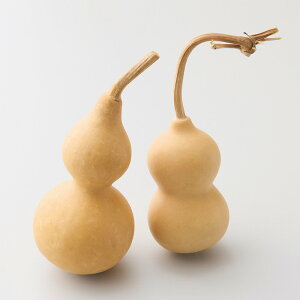 yP10{ 12/31܂ŁIz hCt[ ԍ Ƃ悹i Ђ傤 ԍ f ޗ p[c hCt[  N }t   }tAW VtAW u[P n