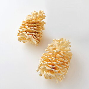 hCt[ ԍ Ƃ悹i VFR[(2) ؂̎ t[c ʎ ibc hC Rf hCt[ i`hCt[ CeA v  n_