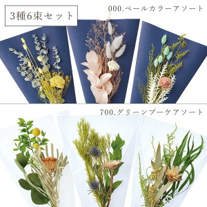 hCt[ AW Ƃ悹i u[Ps[X(36Zbg) hCt[ O[u[P ԑ Zbg A\[g sN  p[v  [J vU  n_