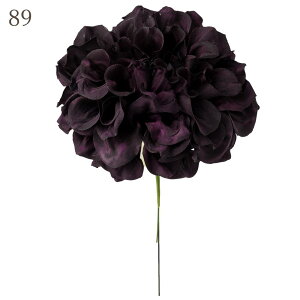 yP10{ 12/31܂ŁIz  o _AsbN ԍ f ޗ p[c  RT[W a AW  zCg ݃J[ sN x[W u[  F p[v  IW 