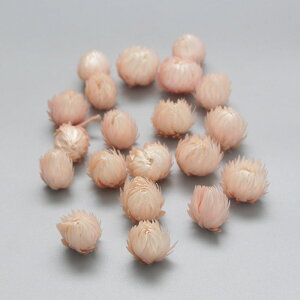 hCt[ ԍ o Vo[fCW[wbh XvOsN Vo[f[W[ ԍ f ޗ p[c hCt[ XbO u[P ԑ [X  f