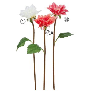 yP10{ z  Ƃ悹i _A VO Ă񂶂ڂ eWN{^ sN zCg  CeA CeAt[ tFCNt[ ԍ Ԏ AXJ ASCA AXJ