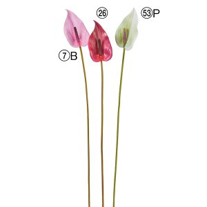 yP10{ 12/31܂ŁIz  Ƃ悹i AXE gc IIxjE` AX[ p[v  tbV t[V O[  bh  Cbh ޗ AXJ ASCA AXJ