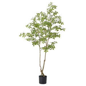 yP10{ }\z tFCNO[ ϗtA y[J[iz }_KXJA[hc[(|bgt) 170cmsρEiƓst 1.7m  ^ AXJ ASCA A