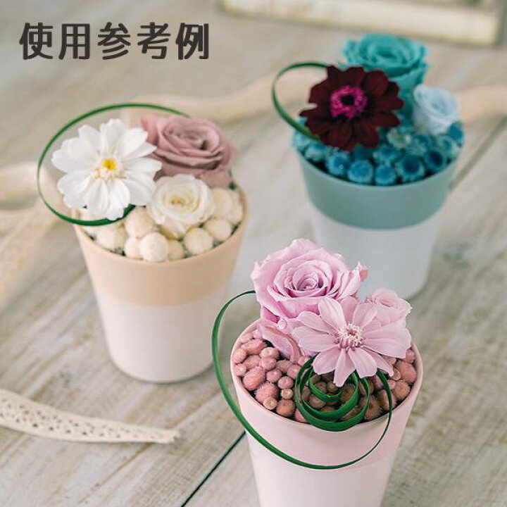 楽天市場】プリザーブドフラワー 花材 とりよせ品 ジニア・小(1箱12輪 