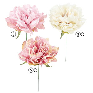 yP10{ z  Ƃ悹i sIj[sbN {^ O VNN 䉖 CeA CeAt[ tFCNt[ VNt[ CeAO[ AXJ ASCA AXJ