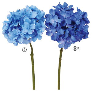 yP10{ z  Ƃ悹i nChWAsbN z AWTC CeA CeAt[ tFCNt[ VNt[ CeAO[ ԍ AXJ ASCA AXJ