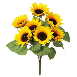  Ƃ悹i Tt-ubVX7 q}  썑 gsJ CeA CeAt[ tFCNt[ VNt[ ԍ  AXJ ASCA AXJ