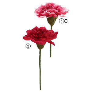  Ƃ悹i J[l[VsbN ̓ A[eBtBVt[ CeA CeAt[ tFCNt[ VNt[ ԍ AXJ ASCA AXJ