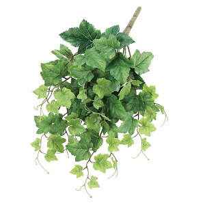  O[ Ƃ悹i O[v[tubV CeA tFCN O[ p[c CeAt[ tFCNt[ VNt[ ԍ AXJ ASCA AXJ