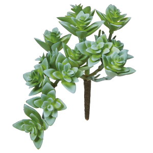  O[ A Ƃ悹i TbJe A lHA CeA tFCN O[ p[c AWg tFCNt[ AXJ ASCA AXJ