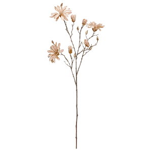   Ƃ悹i xxbg}OmA×3 ڂ×11 N ؘ@ p MRE{N lHA CeAO[ tFCNO[  AXJ ASCA AXJ