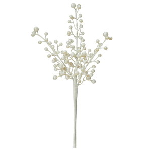 yP10{ z NX}X   Ƃ悹i x[sbN LL zCg  F ؂̎  I[ig NX}X CeA G fBXvC AXJ ASCA AXJ