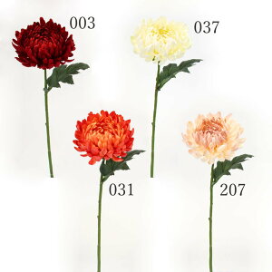 yP10{ z   Ƃ悹i NVbN} e LN me  AW ԍ a a a_ { N[ zCg  AC{[ CgsN sN