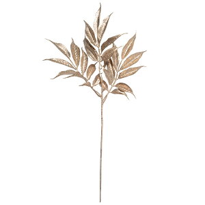 yP10{ 12/31܂ŁIz  O[ Ƃ悹i ou[[tsbN Vp(3{pbN) a  | CeA tFCN O[ p[c CeAt[ tFCNt[ ԍ t 