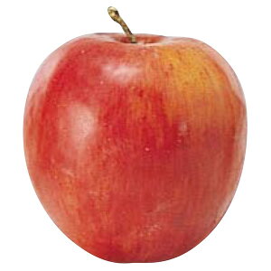 tFCNt[c   Ƃ悹i Abv CeA C~e[V ԍ Ԏ f ޗ p[c    i` t  AXJ ASCA AXJ