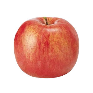 tFCNt[c   Ƃ悹i tWS CeA C~e[V ԍ Ԏ f ޗ p[c    i` t  AXJ ASCA AXJ