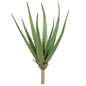 yP10{ z  O[ A Ƃ悹i AG A lHA AG GAvc TbJe T{e CeA tFCN O[ t AXJ ASCA AXJ