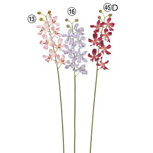 yP10{ 12/31܂ŁIz  Ƃ悹i J×7 ڂ×3   ̉ JI[Lbh sN F x_[ u[  p[v  Cbh {h[ t AXJ ASCA AXJ