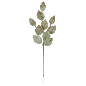 NX}X  O[ Ƃ悹i xxbg[tXv[ Ob^[ LL r[h xxbh N  ̊ i GKg  AXJ ASCA AXJ