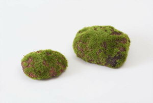  O[ Ƃ悹i A\[gXx[XZbg(召A\[g/) tFCNO[ X  x[X p[c AWg CeAt[ tFCNt[ ԍ