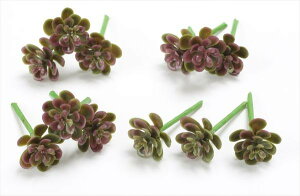 yP10{ 12/31܂ŁIz  O[ A Ƃ悹i ~jZ_sbN(12{/) tFCNO[ [t CeA A 썑 gsJ GAvc TbJe T{e