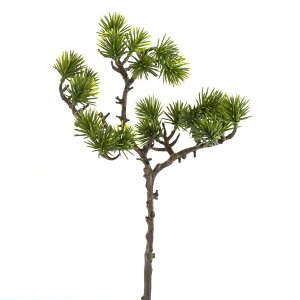   O[ Ƃ悹i ܗt }c t  AW ԍ N O[   VNt[ C~e[V A[eBtBVt[