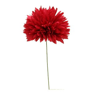 yP10{ }\z  Ƃ悹i ~jAEsbN bh(4{) A[eBtBVt[  CeA CeAt[ tFCNt[ VNt[ O[