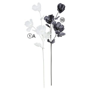  Ƃ悹i |s[×3 qiQV OrW\E l  zCg  ubN CeA CeAt[ tFCNt[ ԍ Ԏ AXJ ASCA AXJ