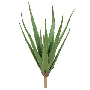 yP10{ z  O[ A Ƃ悹i AG A lHA AG GAvc TbJe T{e CeA tFCN O[ t AXJ ASCA AXJ