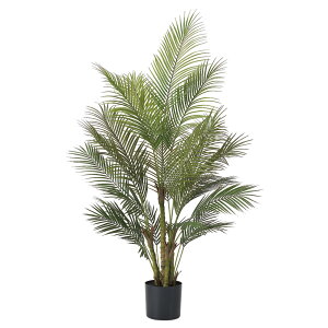 yP10{ }\z tFCNO[ ϗtA y[J[iz p[(|bgt)150cmsρEiƓst p[V p[c[ 1.5m  ^ AXJ ASCA A