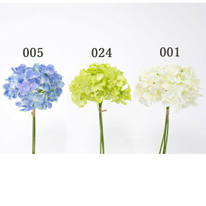  Ƃ悹i ̑(13{)  AWTC z nChWA ZCEAWTC mz  u[ F Cgu[ zCg F O[ ԍ