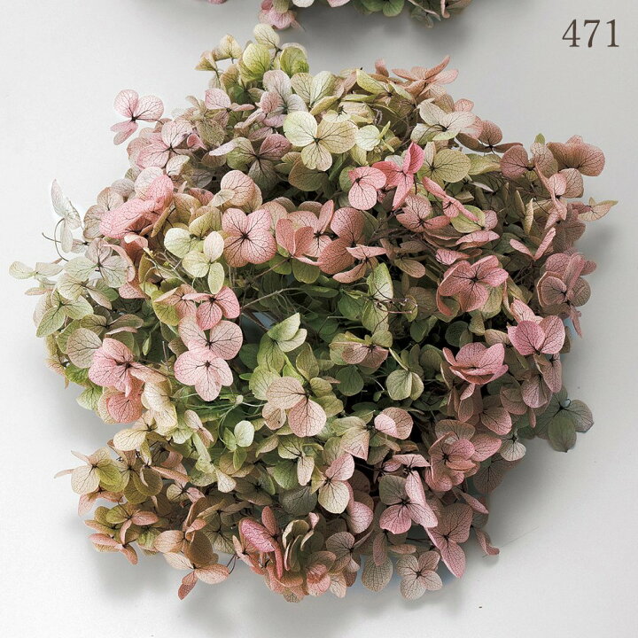 楽天市場】プリザーブドフラワー 花材 とりよせ品 アナベル・ヘッド 