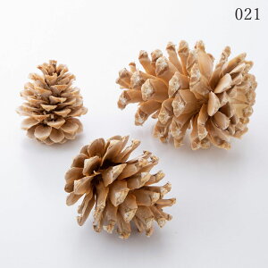 hCt[ ԍ Ƃ悹i }bNR[ ؂̎ t[c ʎ ibc hC Rf hCt[ i`hCt[ CeA v vU  n_